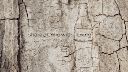 Filename=attachID_15251_postID_145044__00y.gif
Filesize=391KiB
Dimensions=350x197
Date added=Dec 02, 2016 attachID_15251_postID_145044__00y.gif