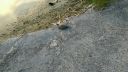 Filename=attachID_15441_postID_148458_VIDEO0001_0000042235.jpg
Filesize=154KiB
Dimensions=1200x675
Date added=Dec 02, 2016 attachID_15441_postID_148458_VIDEO0001_0000042235.jpg