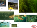 Filename=attachID_15503_postID_149353_BassFishing.png
Filesize=1327KiB
Dimensions=1200x944
Date added=Dec 02, 2016 attachID_15503_postID_149353_BassFishing.png