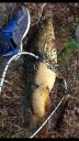 Filename=attachID_15720_postID_151985_image.jpg
Filesize=402KiB
Dimensions=640x1136
Date added=Dec 02, 2016 attachID_15720_postID_151985_image.jpg