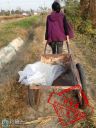 Filename=attachID_15779_postID_152553__00i.jpg
Filesize=76KiB
Dimensions=451x600
Date added=Dec 02, 2016 attachID_15779_postID_152553__00i.jpg