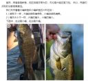 Filename=attachID_15861_postID_153338_uioPhA2B.JPG
Filesize=73KiB
Dimensions=615x573
Date added=Dec 02, 2016 attachID_15861_postID_153338_uioPhA2B.JPG