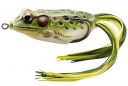 Filename=attachID_16046_postID_155010_frog.jpg
Filesize=115KiB
Dimensions=1155x779
Date added=Dec 02, 2016 attachID_16046_postID_155010_frog.jpg