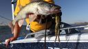 Filename=attachID_16047_postID_155020_image.jpg
Filesize=90KiB
Dimensions=640x360
Date added=Dec 02, 2016 attachID_16047_postID_155020_image.jpg