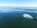 Filename=attachID_16091_postID_155378_3.jpg
Filesize=98KiB
Dimensions=1120x840
Date added=Dec 02, 2016 attachID_16091_postID_155378_3.jpg