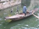 Filename=attachID_16134_postID_155532_Cormorant_fishing_-Suzhou_-China-2005.jpg
Filesize=119KiB
Dimensions=1200x900
Date added=Dec 02, 2016 attachID_16134_postID_155532_Cormorant_fishing_-Suzhou_-China-2005.jpg