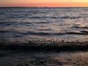 Filename=attachID_16266_postID_156473_1.jpg
Filesize=154KiB
Dimensions=1120x840
Date added=Dec 02, 2016 attachID_16266_postID_156473_1.jpg