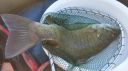 Filename=attachID_16308_postID_156603_microMsg_1443271011694.jpg
Filesize=259KiB
Dimensions=874x491
Date added=Dec 02, 2016 attachID_16308_postID_156603_microMsg_1443271011694.jpg