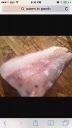 Filename=attachID_16322_postID_156685_image.jpg
Filesize=96KiB
Dimensions=640x1136
Date added=Dec 02, 2016 attachID_16322_postID_156685_image.jpg