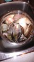 Filename=attachID_16672_postID_159296_IMG_20151012_174140735.jpg
Filesize=103KiB
Dimensions=675x1200
Date added=Dec 02, 2016 attachID_16672_postID_159296_IMG_20151012_174140735.jpg