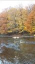 Filename=attachID_16808_postID_160819_meijing.jpg
Filesize=171KiB
Dimensions=674x1200
Date added=Dec 02, 2016 attachID_16808_postID_160819_meijing.jpg