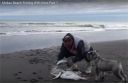 attachID_16820_postID_161002_kite_fishing.jpg