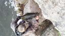 Filename=attachID_17025_postID_163123_20151026_174031.jpg
Filesize=126KiB
Dimensions=1200x675
Date added=Dec 02, 2016 attachID_17025_postID_163123_20151026_174031.jpg