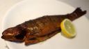 Filename=attachID_17113_postID_164152_smoked_trout.jpg
Filesize=55KiB
Dimensions=1200x664
Date added=Dec 02, 2016 attachID_17113_postID_164152_smoked_trout.jpg