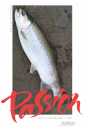 attachID_17126_postID_164191_CatchNReleaseAnotherDay.png