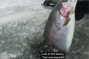 Filename=attachID_17190_postID_164595_swede_ice_fishing3.jpg
Filesize=80KiB
Dimensions=1200x800
Date added=Dec 02, 2016 attachID_17190_postID_164595_swede_ice_fishing3.jpg