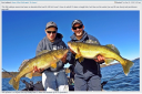 Filename=attachID_17710_postID_168602_boqeyes.png
Filesize=646KiB
Dimensions=739x492
Date added=Dec 02, 2016 attachID_17710_postID_168602_boqeyes.png