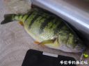 Filename=attachID_17835_postID_169203_wide_and_big.jpg
Filesize=78KiB
Dimensions=1000x750
Date added=Dec 02, 2016 attachID_17835_postID_169203_wide_and_big.jpg