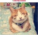 Filename=attachID_17909_postID_170084__00d.jpg
Filesize=65KiB
Dimensions=436x399
Date added=Dec 02, 2016 attachID_17909_postID_170084__00d.jpg