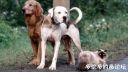 Filename=attachID_17935_postID_170109__001.jpg
Filesize=87KiB
Dimensions=980x552
Date added=Dec 02, 2016 attachID_17935_postID_170109__001.jpg