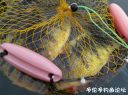 Filename=attachID_17949_postID_170165_7.jpg
Filesize=134KiB
Dimensions=1000x749
Date added=Dec 02, 2016 attachID_17949_postID_170165_7.jpg