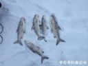 Filename=attachID_17963_postID_170189_taotec28929.JPG
Filesize=61KiB
Dimensions=1000x750
Date added=Dec 02, 2016 attachID_17963_postID_170189_taotec28929.JPG