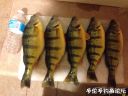 Filename=attachID_17983_postID_170390_image.jpg
Filesize=100KiB
Dimensions=1000x750
Date added=Dec 02, 2016 attachID_17983_postID_170390_image.jpg