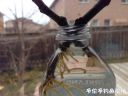 Filename=attachID_18048_postID_170897_photo128329.jpg
Filesize=67KiB
Dimensions=1000x750
Date added=Dec 02, 2016 attachID_18048_postID_170897_photo128329.jpg