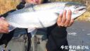 Filename=attachID_18090_postID_171279_image.jpg
Filesize=67KiB
Dimensions=1000x563
Date added=Dec 02, 2016 attachID_18090_postID_171279_image.jpg
