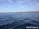 Filename=attachID_18218_postID_172429_image.jpg
Filesize=91KiB
Dimensions=1000x750
Date added=Dec 02, 2016 attachID_18218_postID_172429_image.jpg