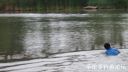 Filename=attachID_18257_postID_81835_image.jpg
Filesize=67KiB
Dimensions=1000x563
Date added=Dec 02, 2016 attachID_18257_postID_81835_image.jpg