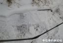 Filename=attachID_18405_postID_173904_00.jpg
Filesize=77KiB
Dimensions=1000x684
Date added=Dec 02, 2016 attachID_18405_postID_173904_00.jpg