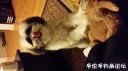 Filename=attachID_18489_postID_174249_20160103_211455.jpg
Filesize=61KiB
Dimensions=1000x562
Date added=Dec 02, 2016 attachID_18489_postID_174249_20160103_211455.jpg