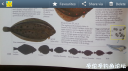 Filename=attachID_18730_postID_176016_Screenshot_2016-01-16-14-33-03.png
Filesize=595KiB
Dimensions=1000x562
Date added=Dec 02, 2016 attachID_18730_postID_176016_Screenshot_2016-01-16-14-33-03.png