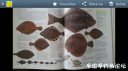 Filename=attachID_18731_postID_176016_Screenshot_2016-01-16-15-32-45.png
Filesize=641KiB
Dimensions=1000x562
Date added=Dec 02, 2016 attachID_18731_postID_176016_Screenshot_2016-01-16-15-32-45.png