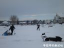 Filename=attachID_18801_postID_176654_31.jpg
Filesize=53KiB
Dimensions=1000x750
Date added=Dec 02, 2016 attachID_18801_postID_176654_31.jpg