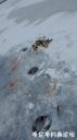Filename=attachID_18864_postID_177250_152917486341950797.jpg
Filesize=66KiB
Dimensions=562x1000
Date added=Dec 02, 2016 attachID_18864_postID_177250_152917486341950797.jpg