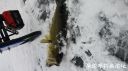 Filename=attachID_18930_postID_177614_20160130_152429.jpg
Filesize=84KiB
Dimensions=1000x562
Date added=Dec 02, 2016 attachID_18930_postID_177614_20160130_152429.jpg