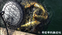 Filename=attachID_18957_postID_177783_image.png
Filesize=978KiB
Dimensions=1000x563
Date added=Dec 02, 2016 attachID_18957_postID_177783_image.png