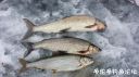 Filename=attachID_19086_postID_178697_20160207_144849.jpg
Filesize=111KiB
Dimensions=1000x562
Date added=Dec 02, 2016 attachID_19086_postID_178697_20160207_144849.jpg