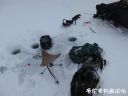 Filename=attachID_19248_postID_180070_1.jpg
Filesize=56KiB
Dimensions=1000x750
Date added=Dec 02, 2016 attachID_19248_postID_180070_1.jpg