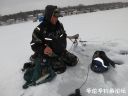 attachID_19278_postID_180304_40.jpg