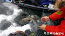Filename=attachID_19300_postID_180530_20160220_095259.jpg
Filesize=93KiB
Dimensions=1000x562
Date added=Dec 02, 2016 attachID_19300_postID_180530_20160220_095259.jpg