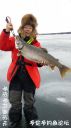 Filename=attachID_19317_postID_180530_he2.jpg
Filesize=73KiB
Dimensions=562x1000
Date added=Dec 02, 2016 attachID_19317_postID_180530_he2.jpg