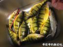 Filename=attachID_19412_postID_181135_IMG_68305B15D.JPG
Filesize=113KiB
Dimensions=1000x750
Date added=Dec 02, 2016 attachID_19412_postID_181135_IMG_68305B15D.JPG