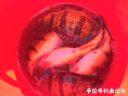 Filename=attachID_19599_postID_182458_image.jpeg
Filesize=89KiB
Dimensions=1000x750
Date added=Dec 02, 2016 attachID_19599_postID_182458_image.jpeg