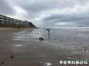 Filename=attachID_19628_postID_182741_1.jpg
Filesize=69KiB
Dimensions=979x734
Date added=Dec 02, 2016 attachID_19628_postID_182741_1.jpg