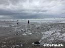 Filename=attachID_19629_postID_182741_2.jpg
Filesize=92KiB
Dimensions=979x734
Date added=Dec 02, 2016 attachID_19629_postID_182741_2.jpg