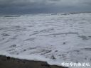 Filename=attachID_19637_postID_182741_10.jpg
Filesize=71KiB
Dimensions=1000x750
Date added=Dec 02, 2016 attachID_19637_postID_182741_10.jpg