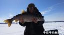 Filename=attachID_19668_postID_182882_20160306_121225.jpg
Filesize=49KiB
Dimensions=1000x562
Date added=Dec 02, 2016 attachID_19668_postID_182882_20160306_121225.jpg